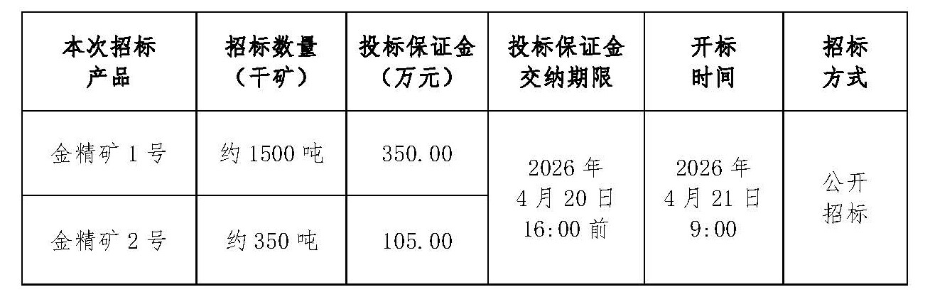2026年4月21日金翅岭金矿金精矿招标文件_页面_1.jpg
